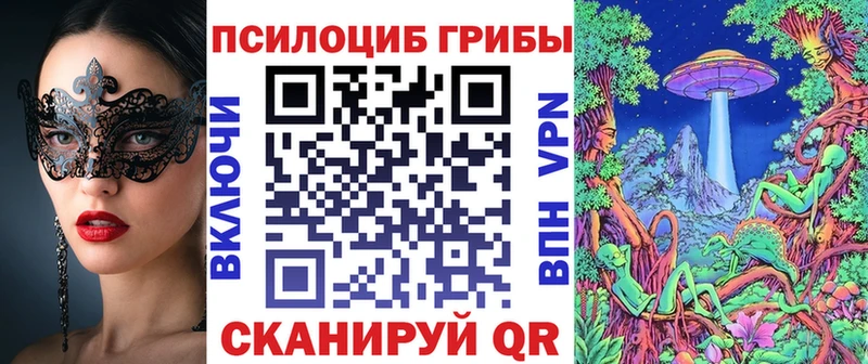 Галлюциногенные грибы GOLDEN TEACHER  Купить  Мценск 